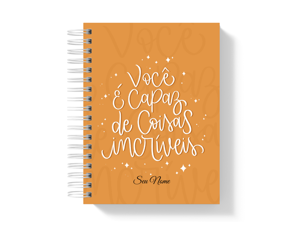 Planner 2025 Premium - Disco Personalizado