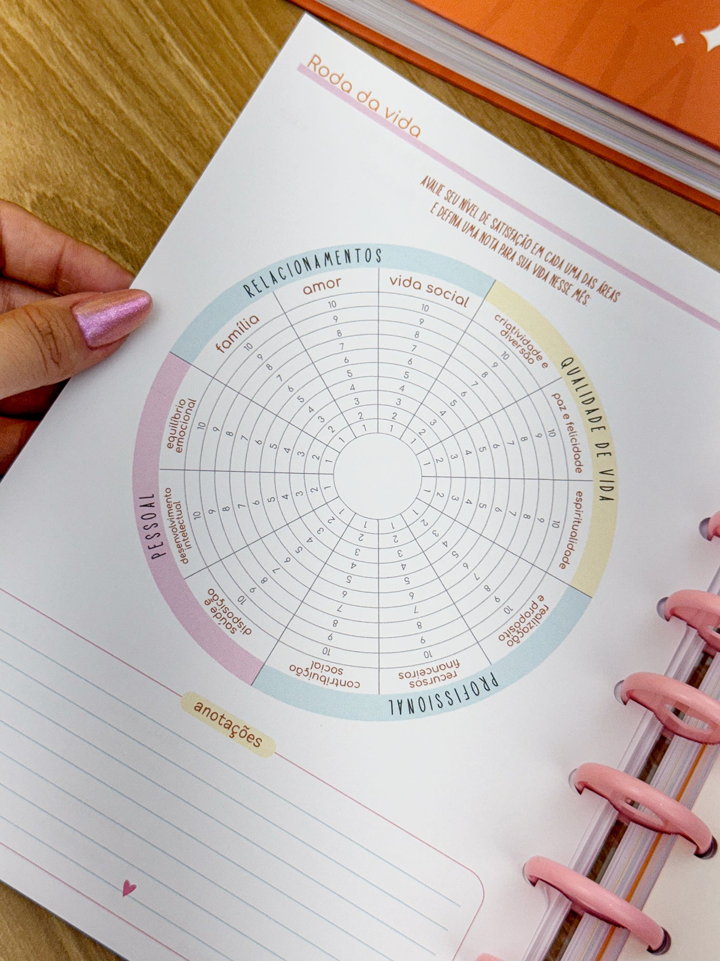 Planner 2025 Premium - Disco Personalizado