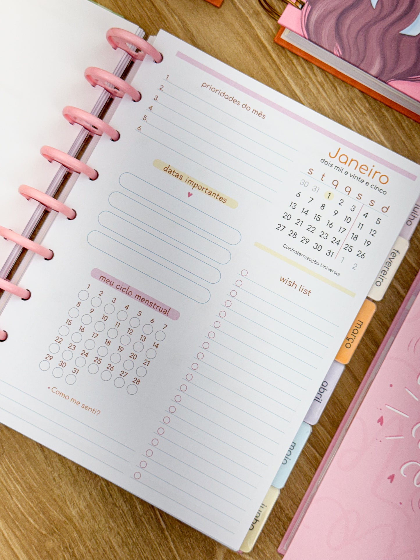 Planner 2025 Premium - Disco Personalizado