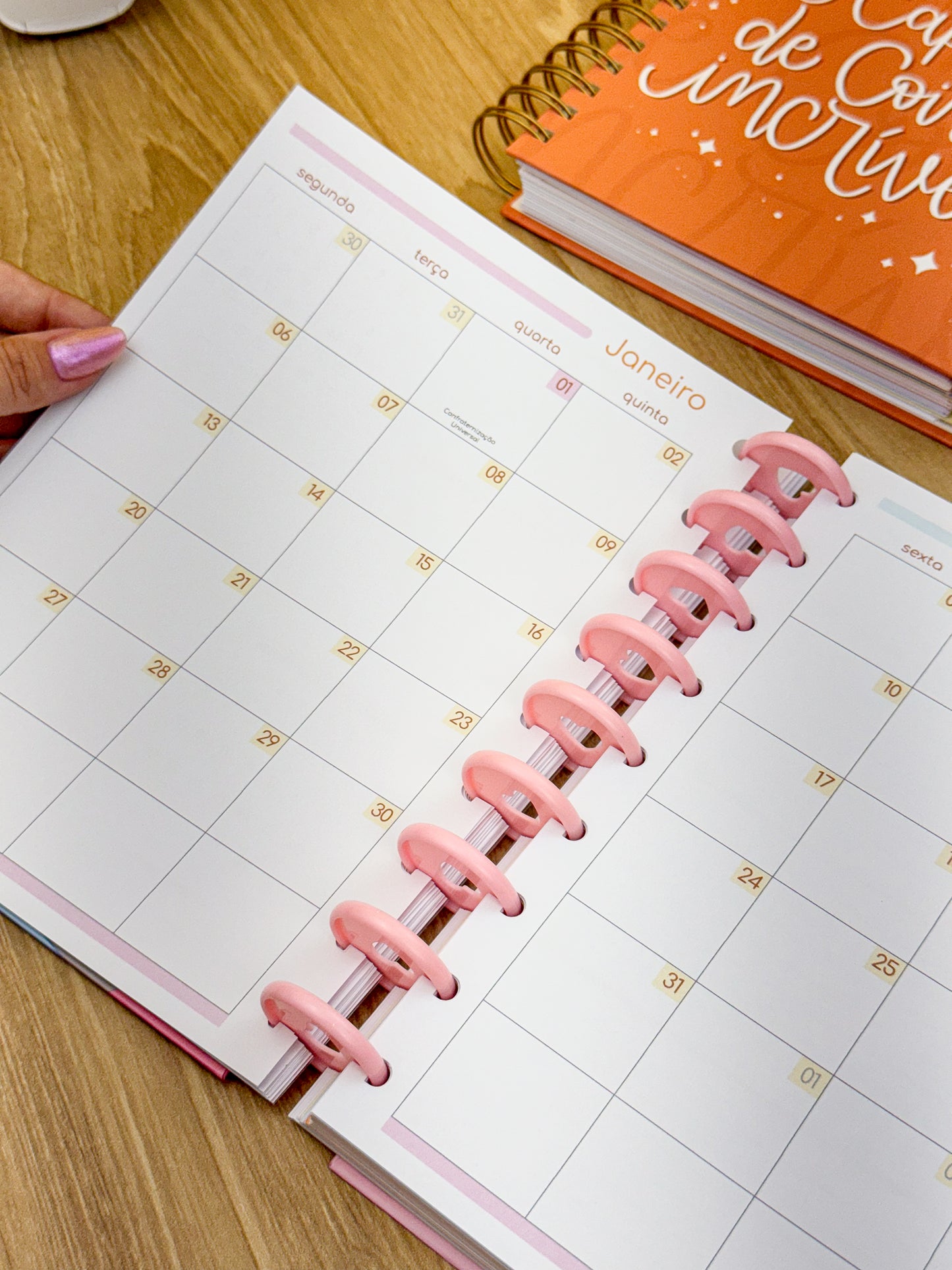 Planner 2025 Premium - Disco Personalizado