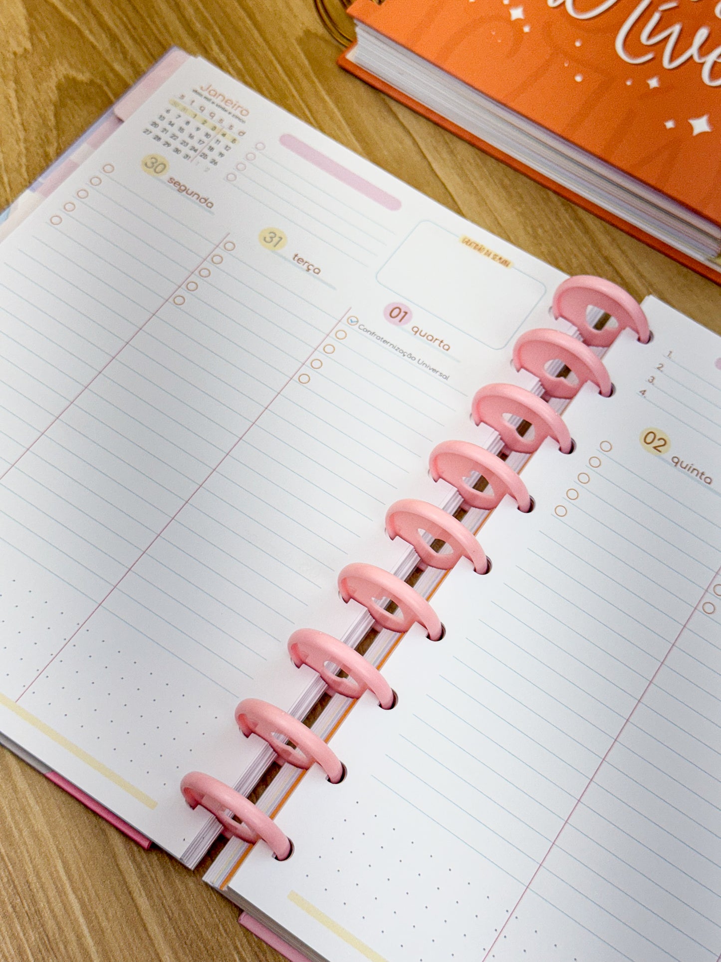 Planner 2025 Premium - Disco Personalizado