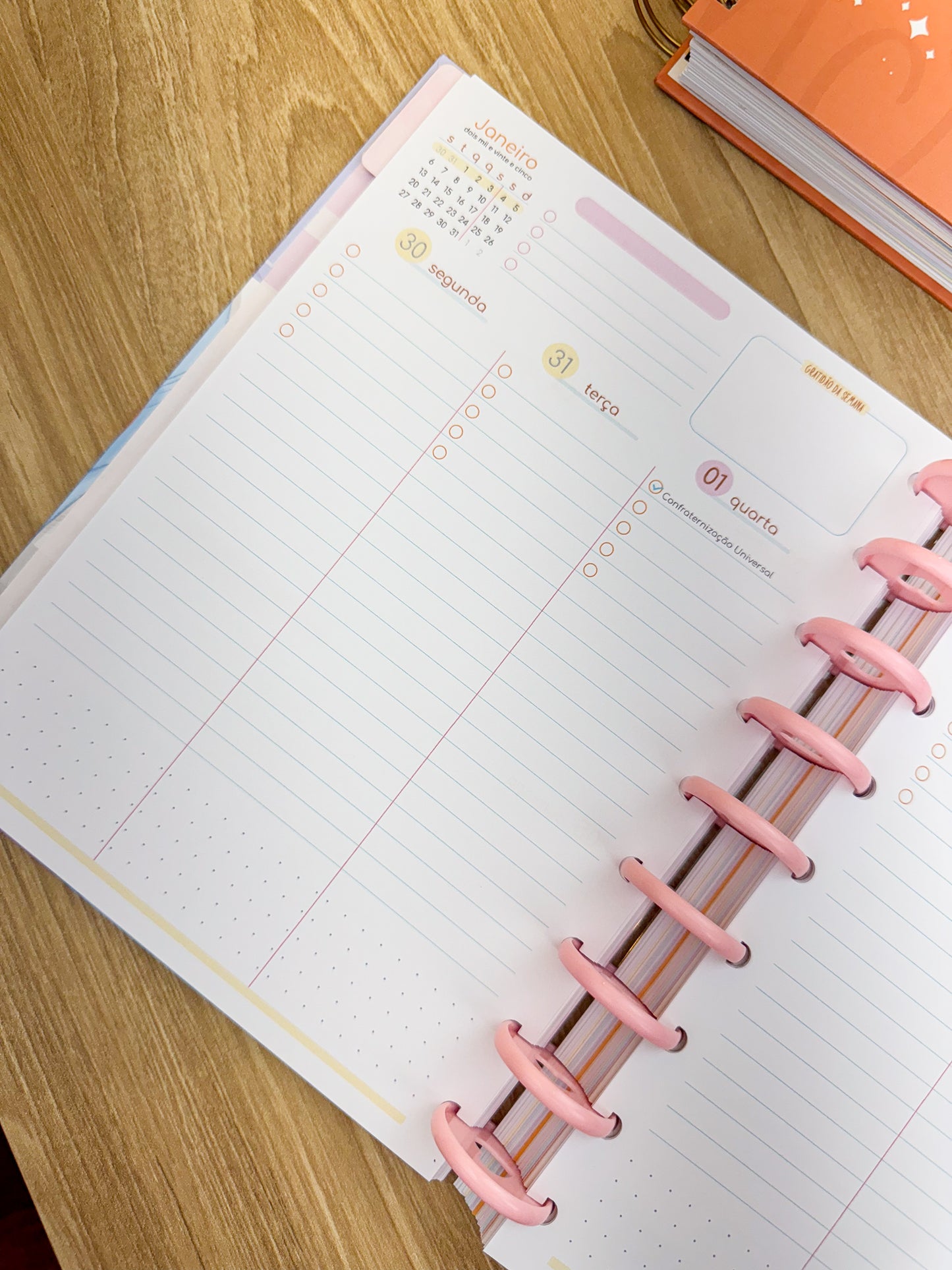 Planner 2025 Premium - Disco Personalizado