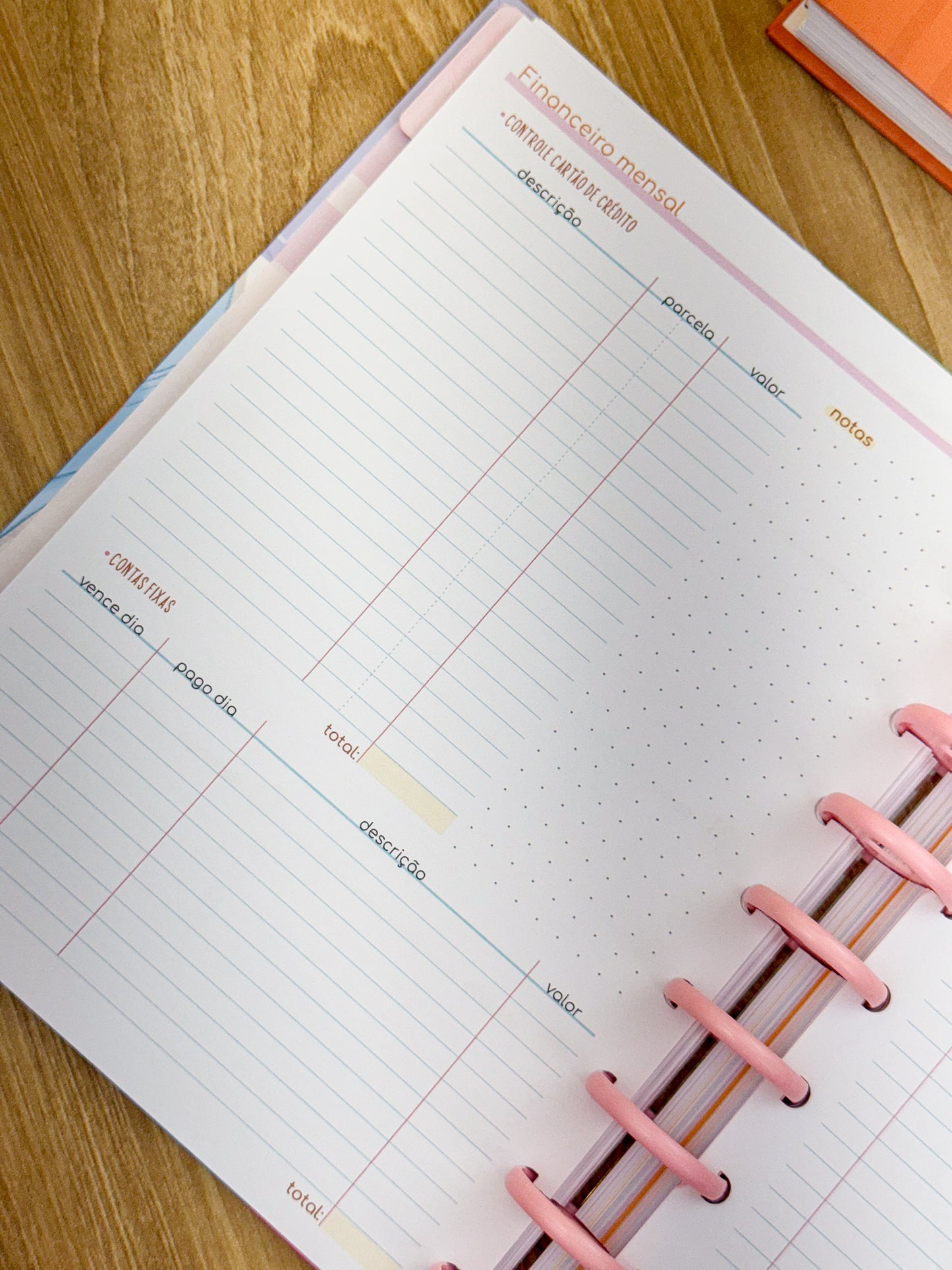 Planner 2025 Premium - Disco Personalizado