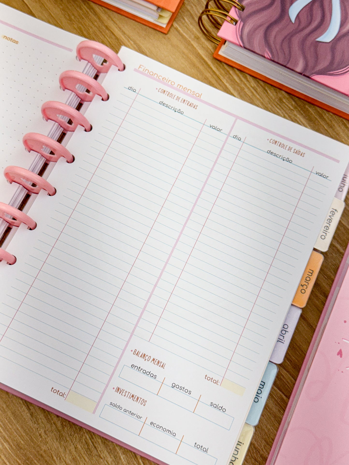 Planner 2025 Premium - Disco Personalizado