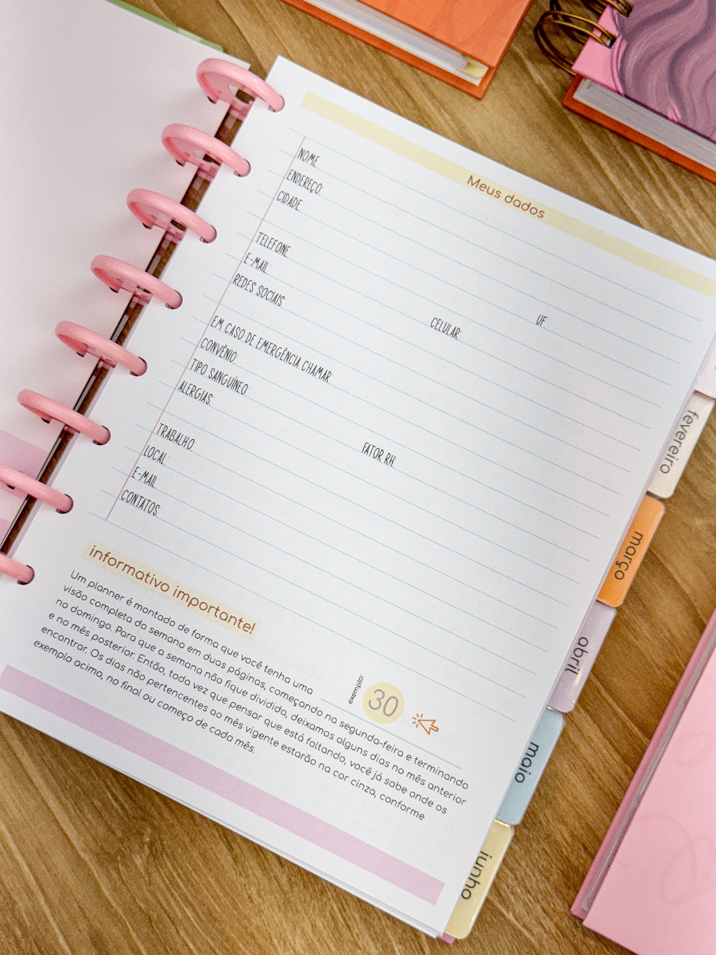 Planner 2025 Premium - Disco Personalizado