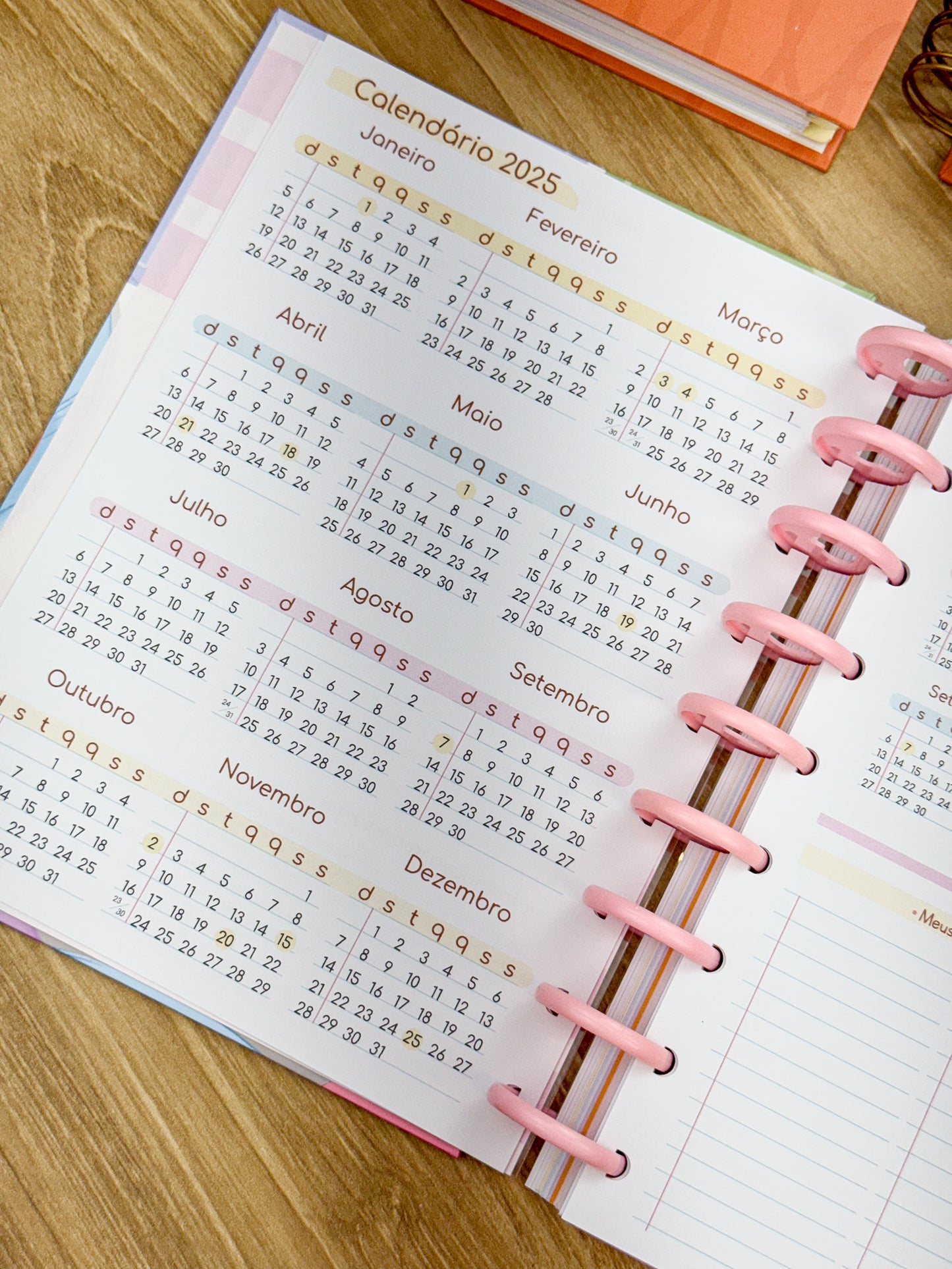 Planner 2025 Premium - Disco Personalizado