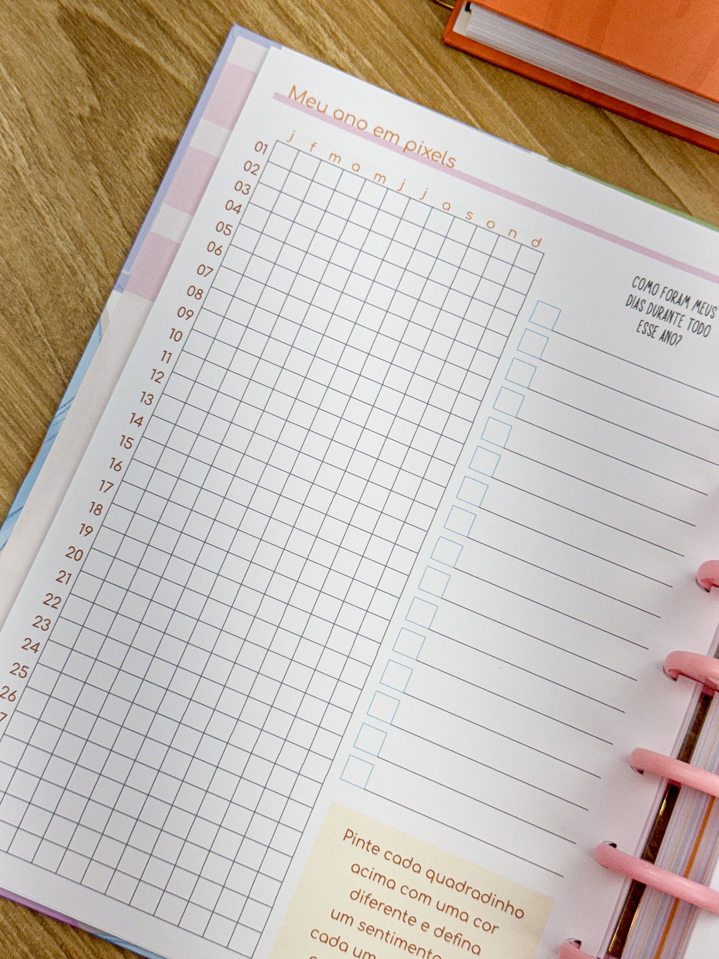 Planner 2025 Premium - Disco Personalizado